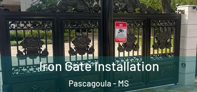 Iron Gate Installation Pascagoula - MS