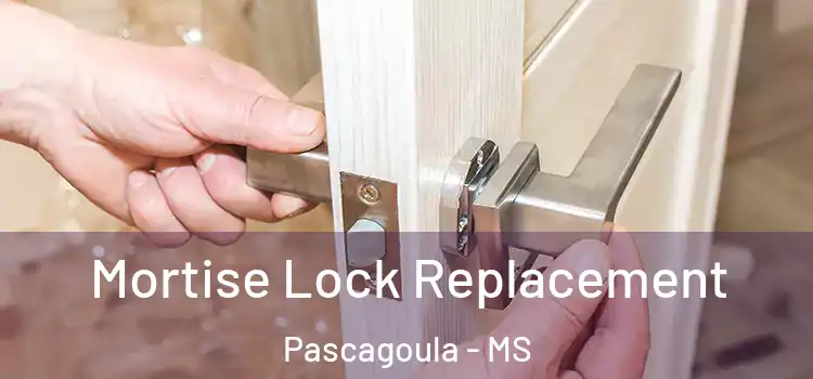 Mortise Lock Replacement Pascagoula - MS