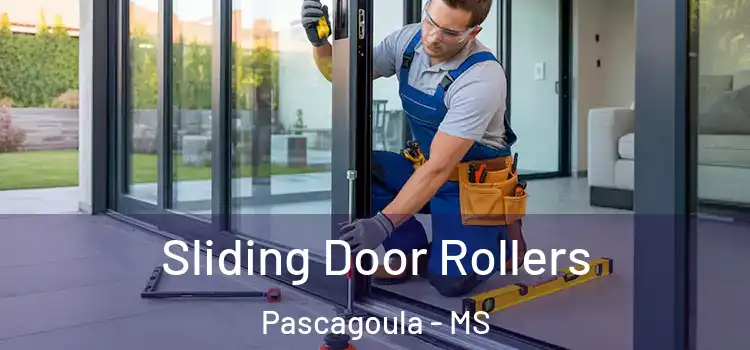 Sliding Door Rollers Pascagoula - MS